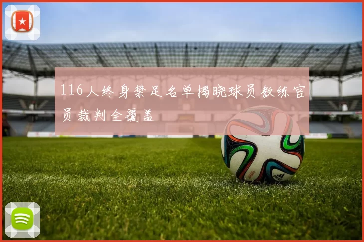 116人终身禁足名单揭晓球员教练官员裁判全覆盖